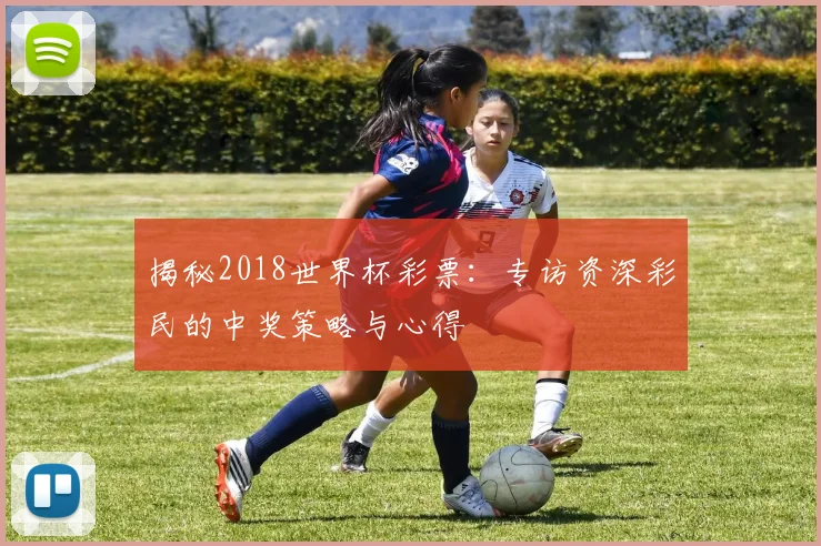 揭秘2018世界杯彩票：专访资深彩民的中奖策略与心得