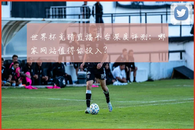 世界杯竞猜直播平台深度评测：哪家网站值得你投入？