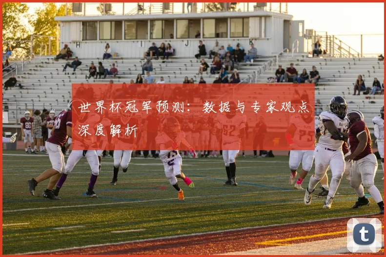 世界杯冠军预测:数据与专家观点深度解析