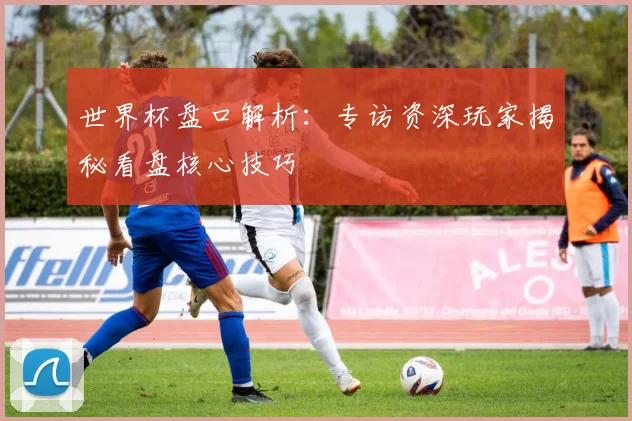 世界杯盘口解析：专访资深玩家揭秘看盘核心技巧