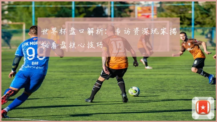 世界杯盘口解析:专访资深玩家揭秘看盘核心技巧